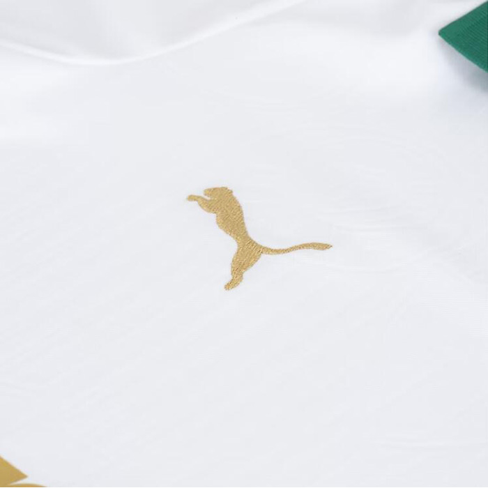 2a Equipacion Camiseta Palmeiras Mujer 2024 - Haga un click en la imagen para cerrar